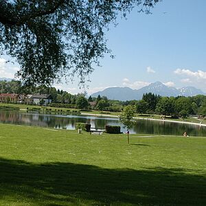 Die Liegewiese am Badesee in Liefering.